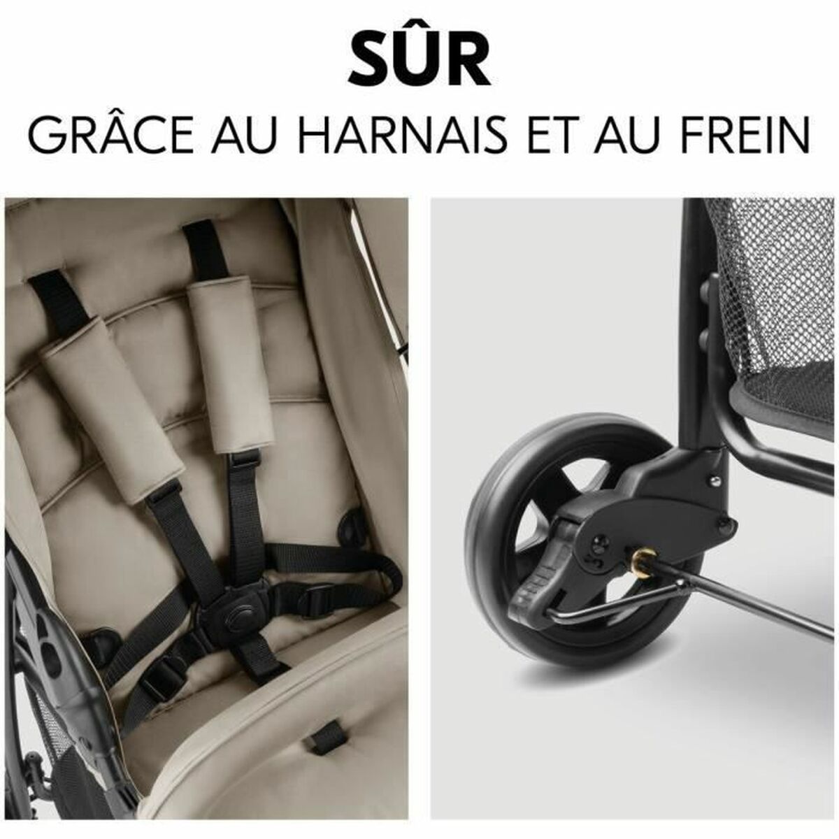 V2HC803275D0F450D702B4E022579CDEA2DR7169363P2