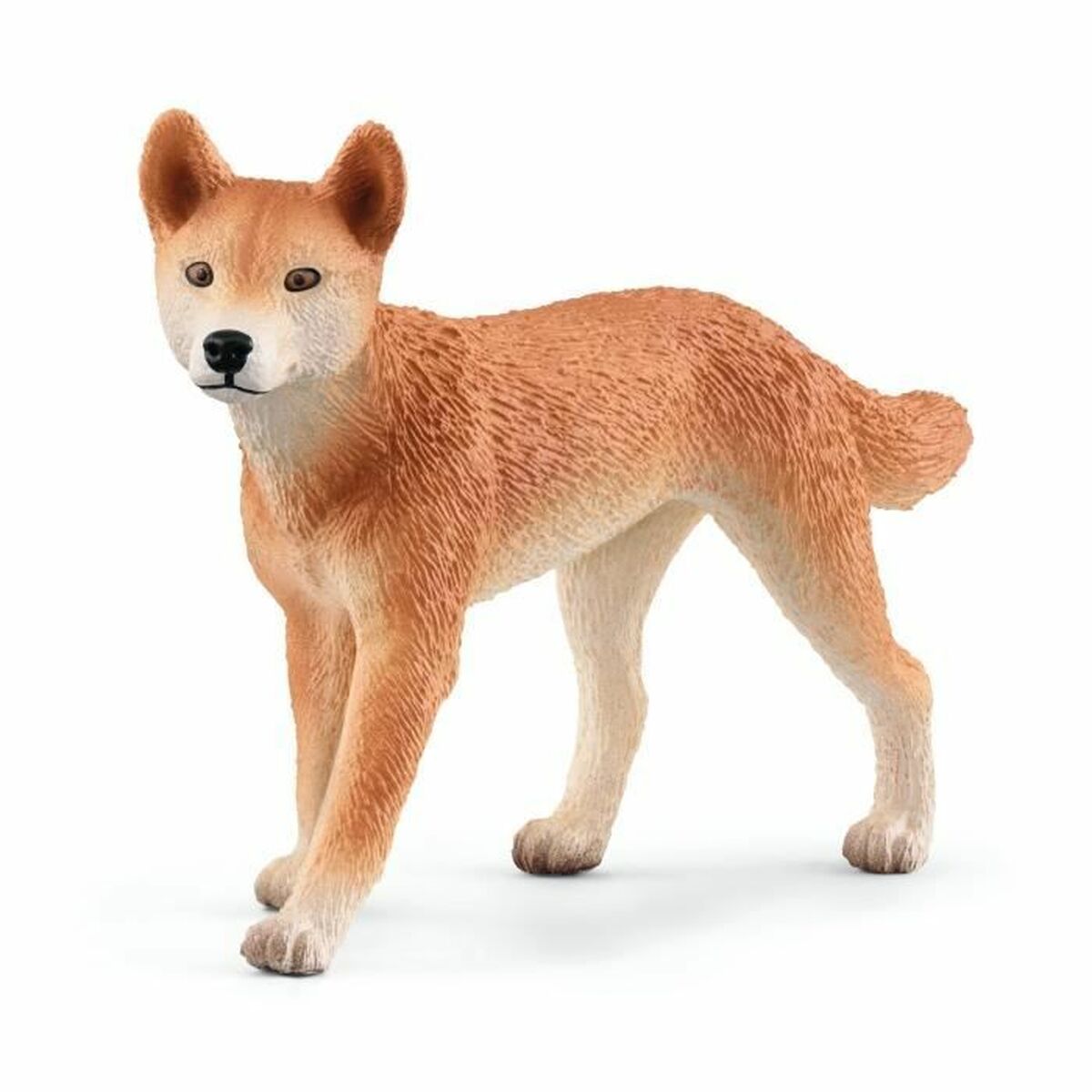 V4HBC65CD21817B3FCD968B4A0BB9678A1BR5454997P6