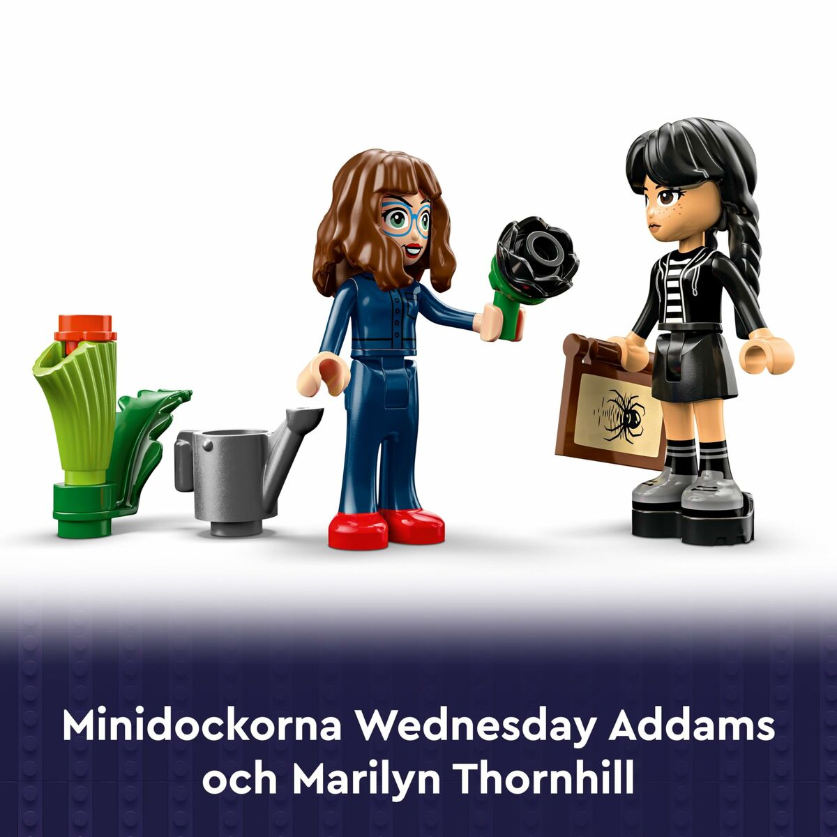 V2H9B6A8F55E29420AA9AAE1D4E6ABC3127R6852735P10